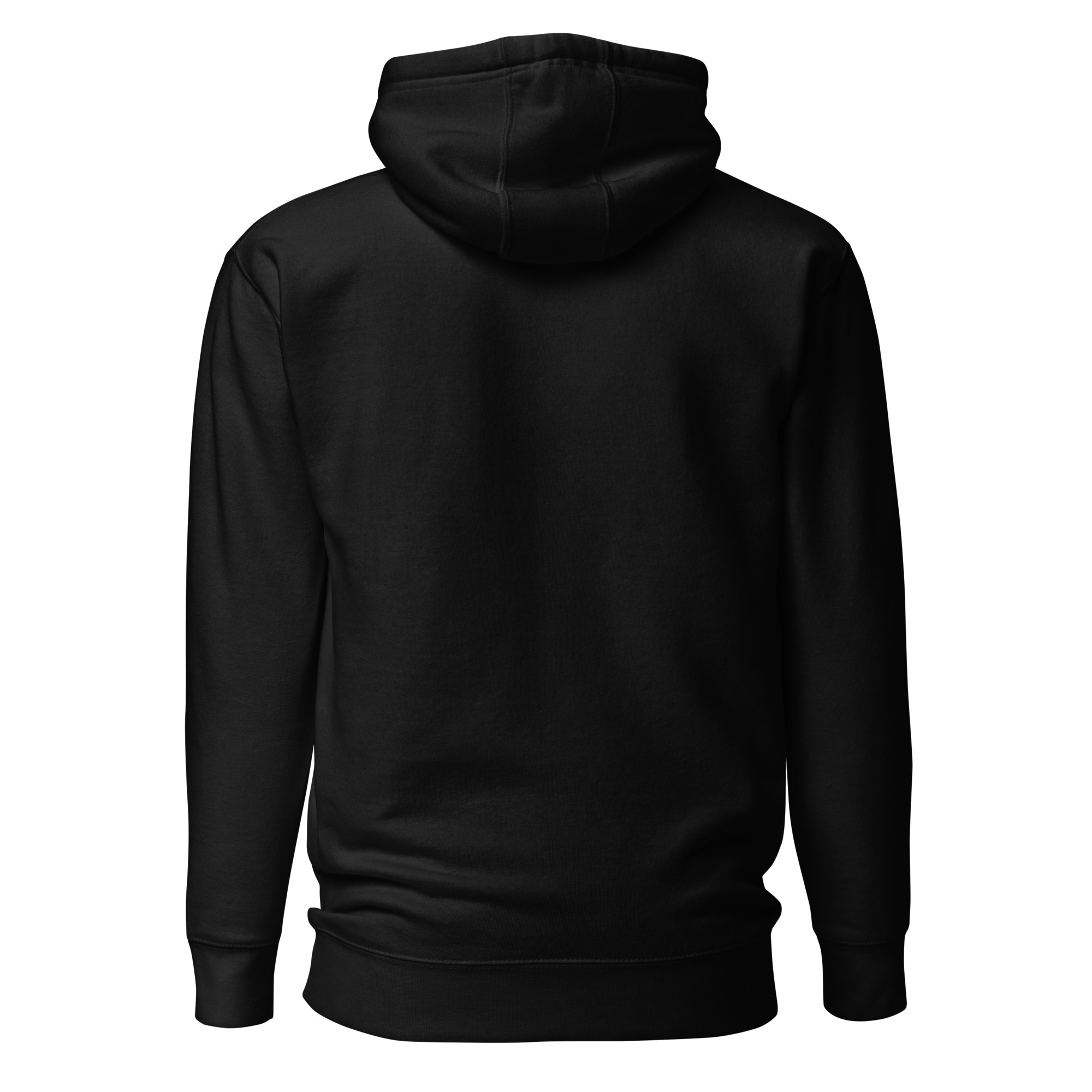 unisex-premium-hoodie-black-back-664339ba5a4eb.jpg